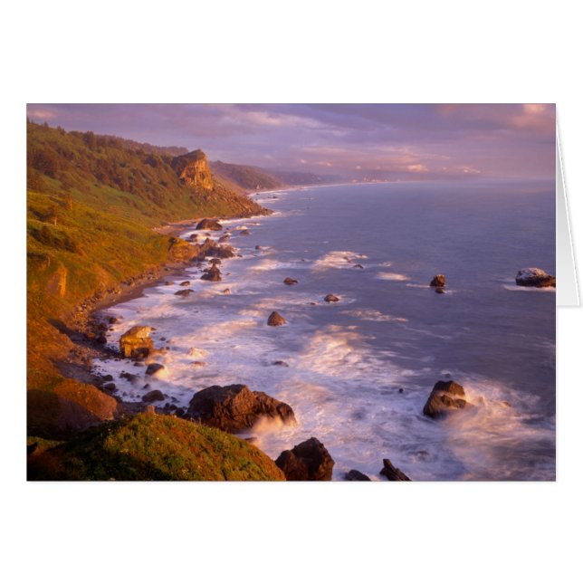 Redwoods coastline, California (Front Horizontal)