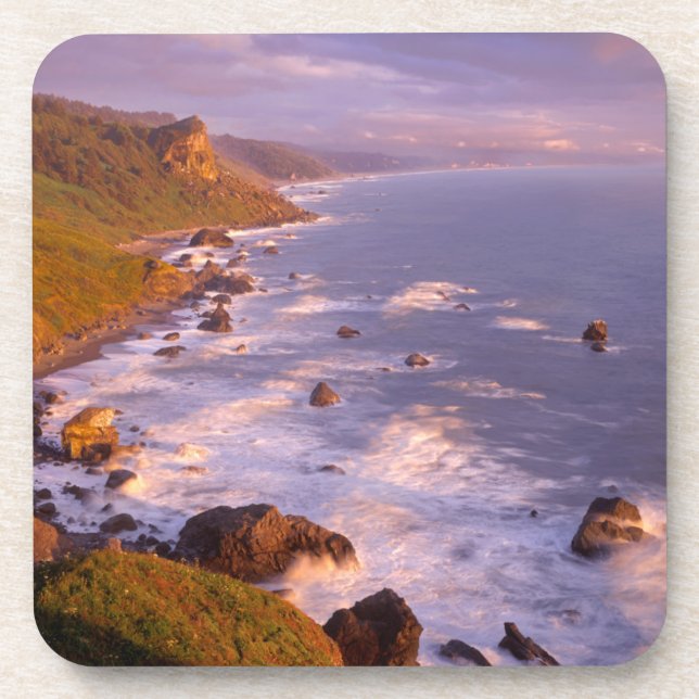 Redwoods coastline, California Coaster (Front)