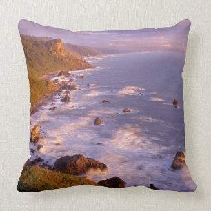 Redwoods coastline, California Cushion