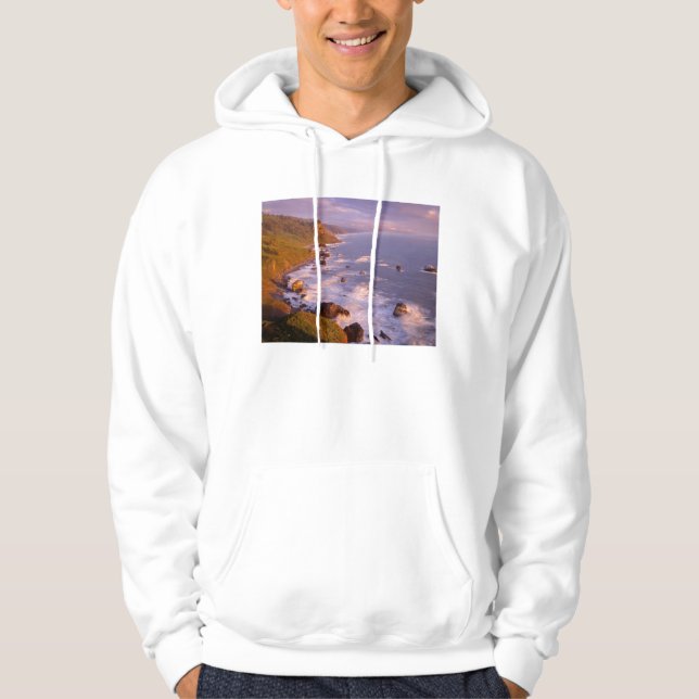 Redwoods coastline, California Hoodie (Front)