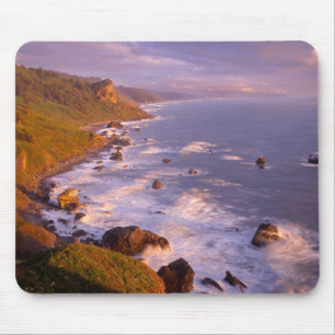 Redwoods coastline, California Mouse Pad