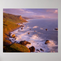 Redwoods coastline, California