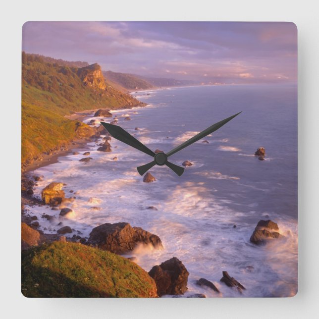 Redwoods coastline, California Square Wall Clock (Front)