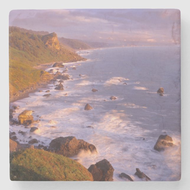 Redwoods coastline, California Stone Coaster (Front)