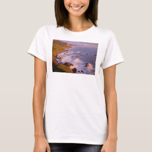 Redwoods coastline, California T-Shirt