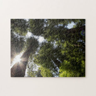 Redwoods, Humboldt Redwoods State Park Jigsaw Puzzle