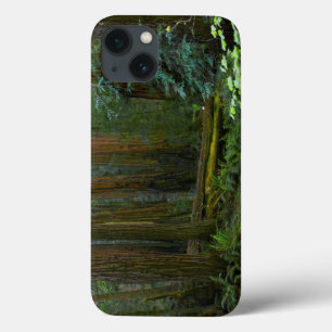 Redwoods In Muir Woods National Park iPhone 13 Case