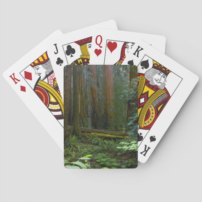 Redwoods In Muir Woods National Park Playing Cards (Back)