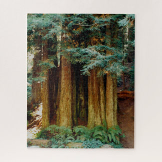 Redwoods Jigsaw Puzzle