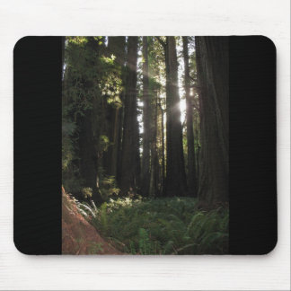 Redwoods Mouse Pad