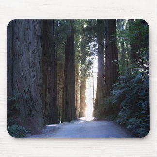 Redwoods Mousepad