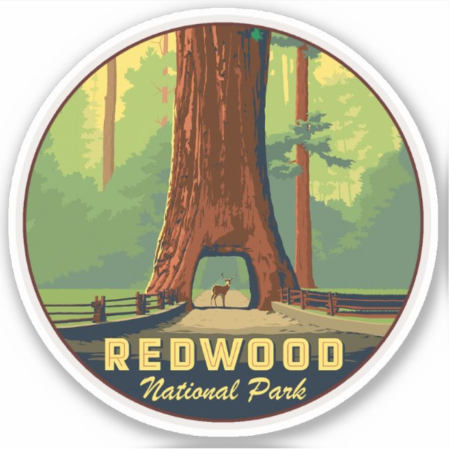 Redwoods National Park  (Front)