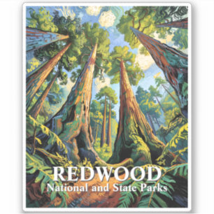 Redwoods National Park California Van Gogh Custom