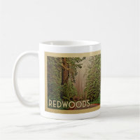 Redwoods National Park California Vintage Travel