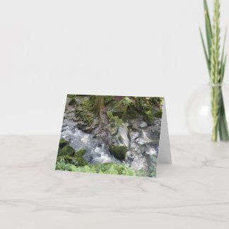 Redwoods stream cascading over rocks notecard