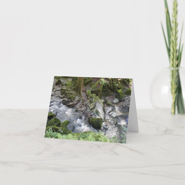 Redwoods stream cascading over rocks notecard (Front)