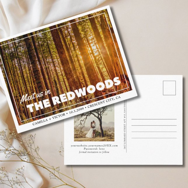 Redwoods Wedding the Date Postcard (redwoods national park wedding save the date)