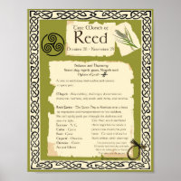 REED CELTIC SACRED TREE