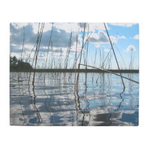 Reeds and Reflections on Rice Lake