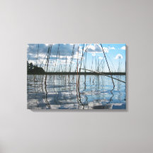 Reeds and Reflections on Rice Lake