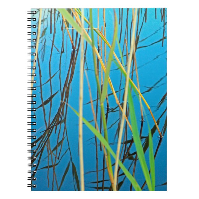 Reeds in a lake notebook (Front)