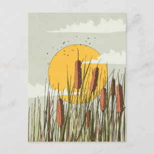 Reeds in the Sunset Postcard