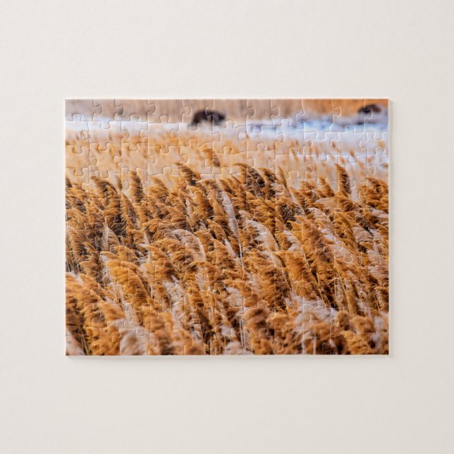 Reeds of Antelope Island, Utah - 8x10 - 110 pcs. Jigsaw Puzzle (Horizontal)