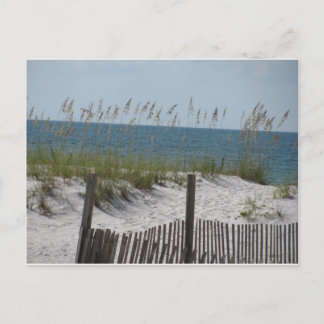 Reeds on the Beach Postcard
