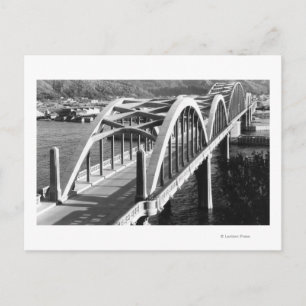 Reedsport, Oregon View of Bridge over Umpqua Postcard