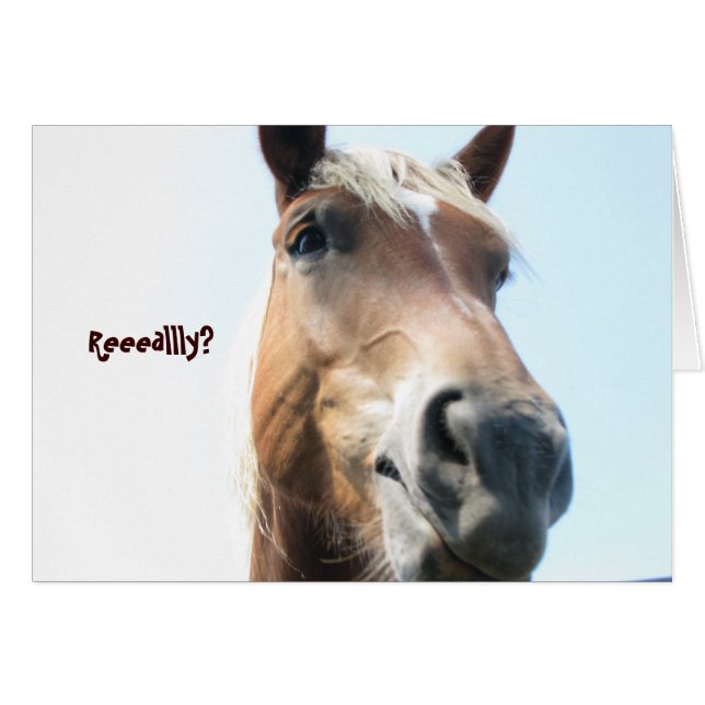 Reeeallly? (Front Horizontal)