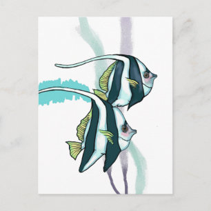 Reef Bannerfish, Striped Fish Underwater Nautical  Postcard