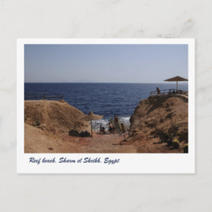 Reef beach, Sharm el Sheikh, Egypt Postcard