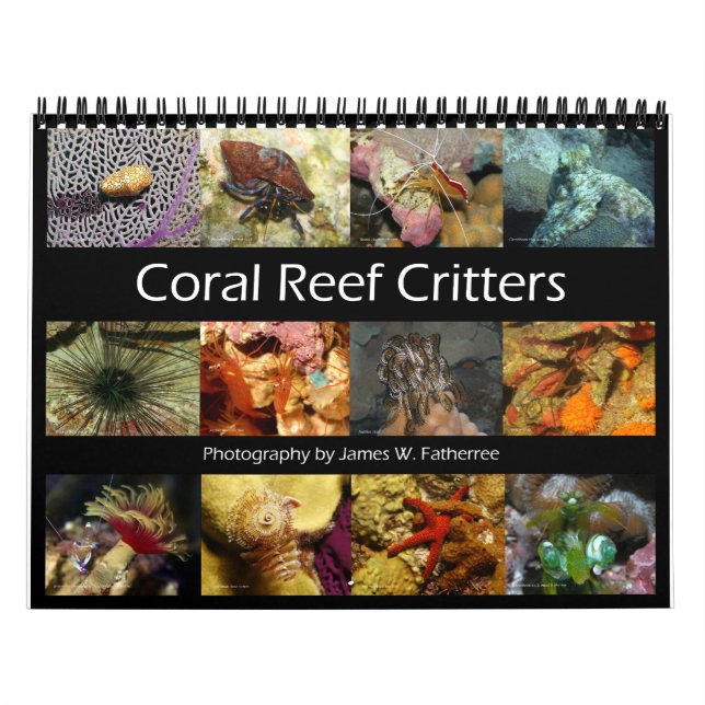 Reef Critters Wall Calendar by J.W. Fatherree. (Cover)