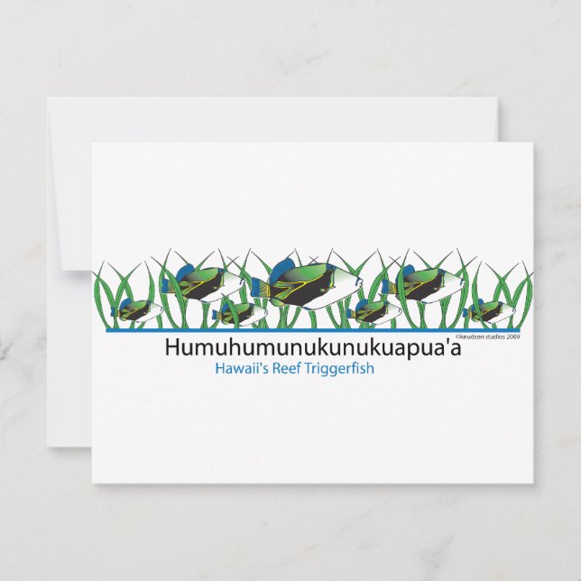Reef-Fish- (Front)