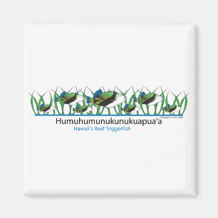 Reef-Fish- Magnet