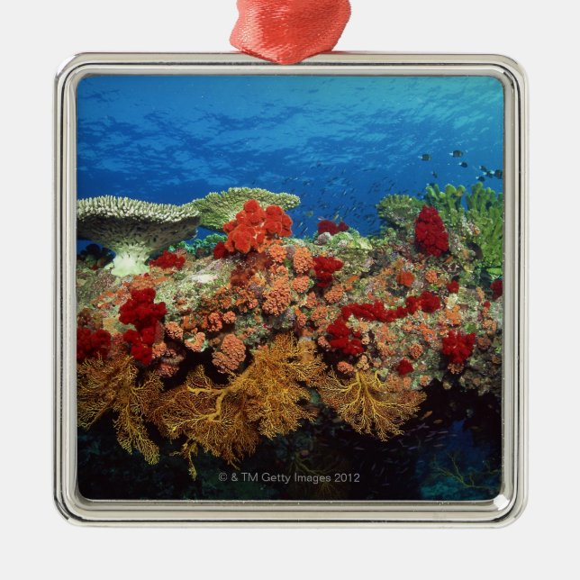 Reef of Corals Metal Tree Decoration (Front)