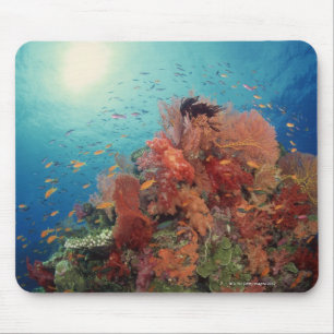 Reef scenic of hard corals , soft corals 2 mouse pad