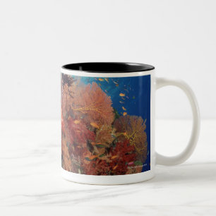 Reef scenic of hard corals , soft corals 2 Two-Tone coffee mug
