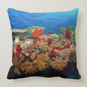 Reef scenic of hard corals , soft corals cushion