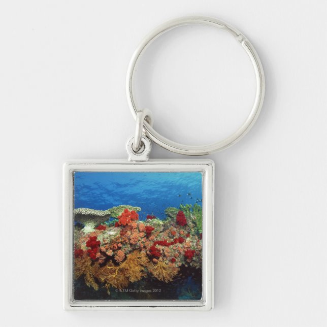 Reef scenic of hard corals , soft corals key ring (Front)