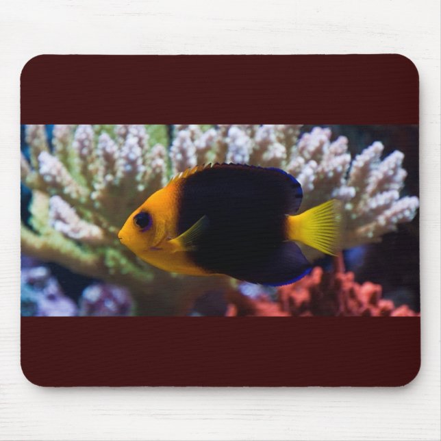 Reef Serenity Mousepad (Front)