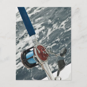 Reel Postcard