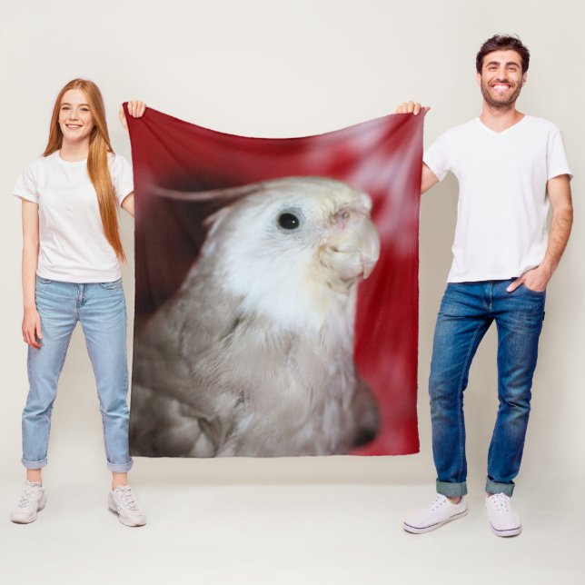 Reeples Fleece Blanket (In Situ)