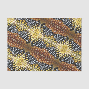 Reeve's Pheasant Feather Design Tissue Paper