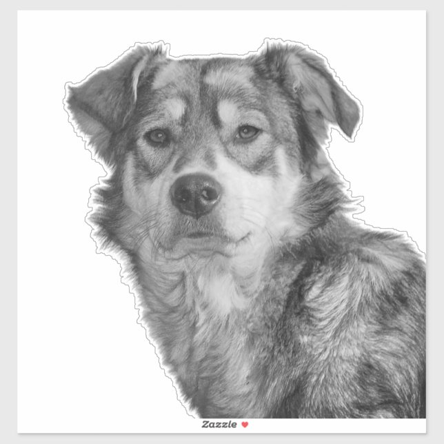 Refined Monochrome Large Mixed Breed Canine (Sheet)