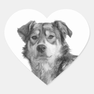 Refined Monochrome Large Mixed Breed Canine Heart Sticker