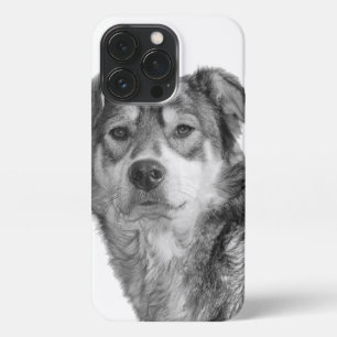 Refined Monochrome Large Mixed Breed Canine iPhone 13 Pro Case
