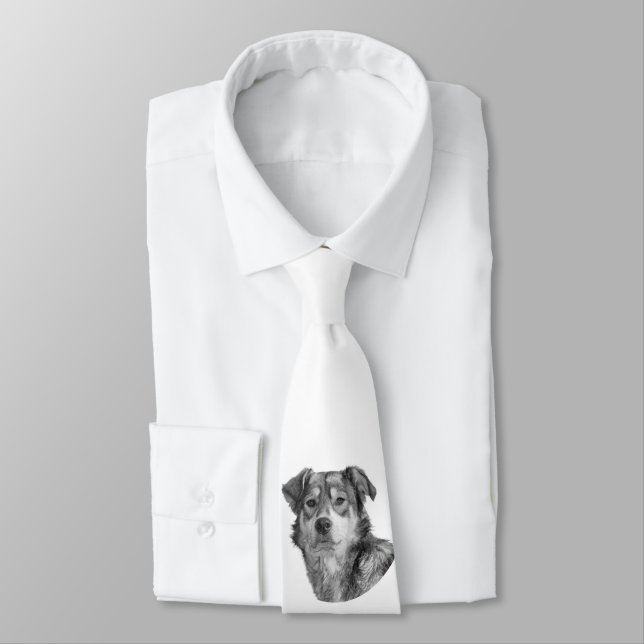 Refined Monochrome Large Mixed Breed Canine Tie (Tied)