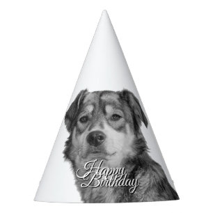 Refined Monochrome Mixed Breed Canine Birthday Party Hat