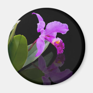 Reflected Beauty Orchid Magnet